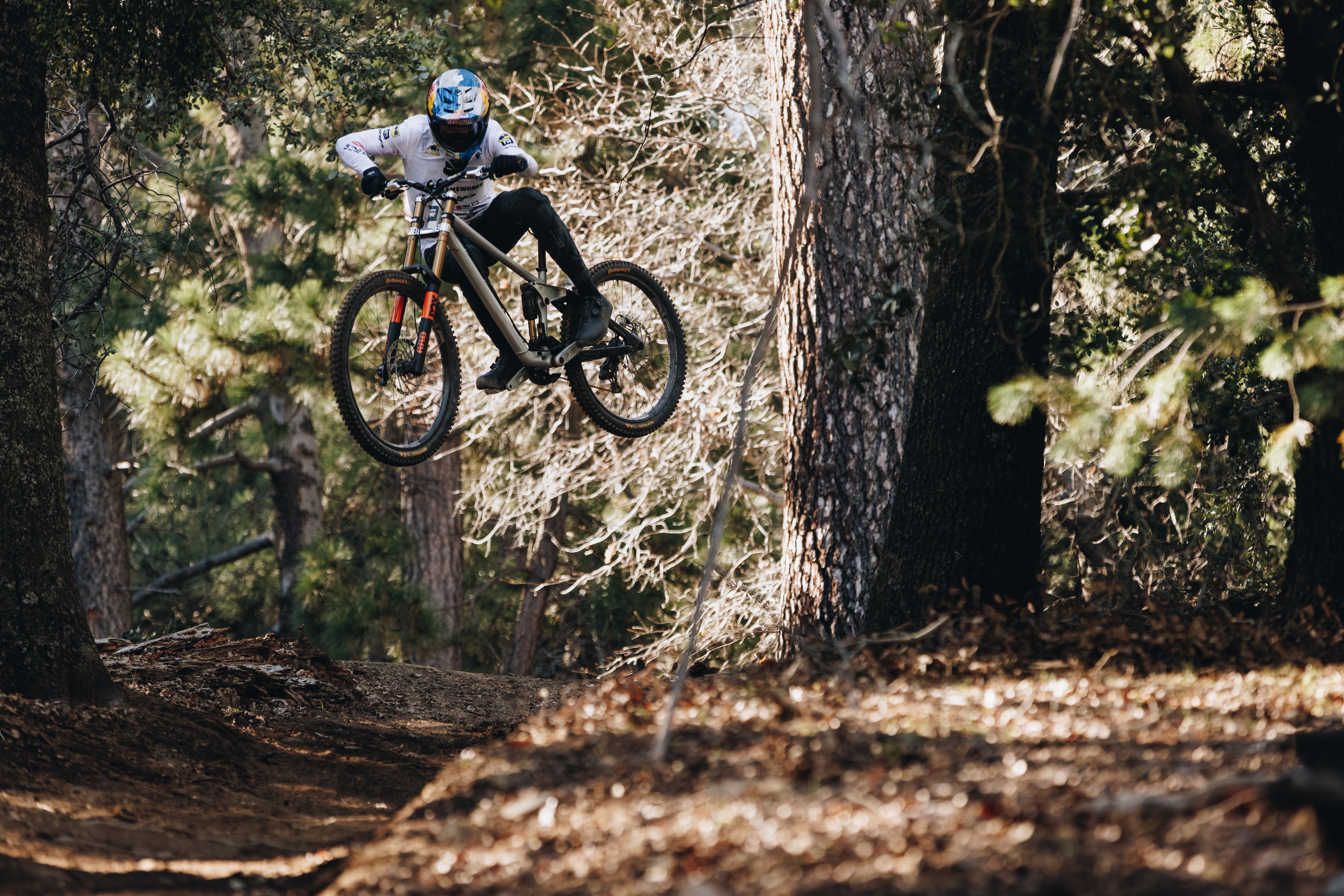 2026 DH Frame – Frameworks Bicycles